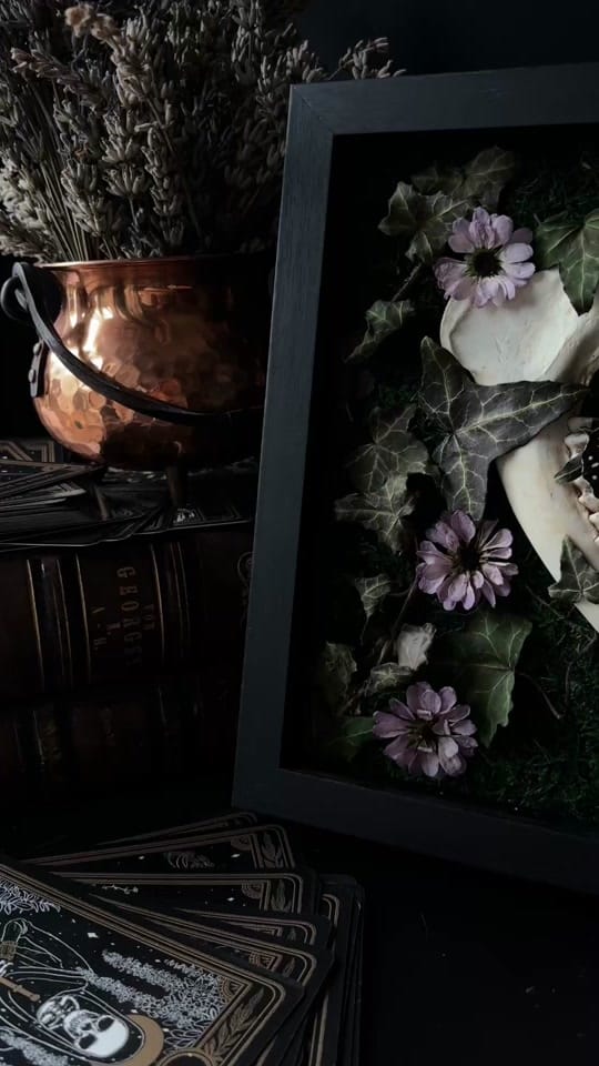 Post 1 by Lizz | Whimsical Oddities 🪲 on TikTok (video)