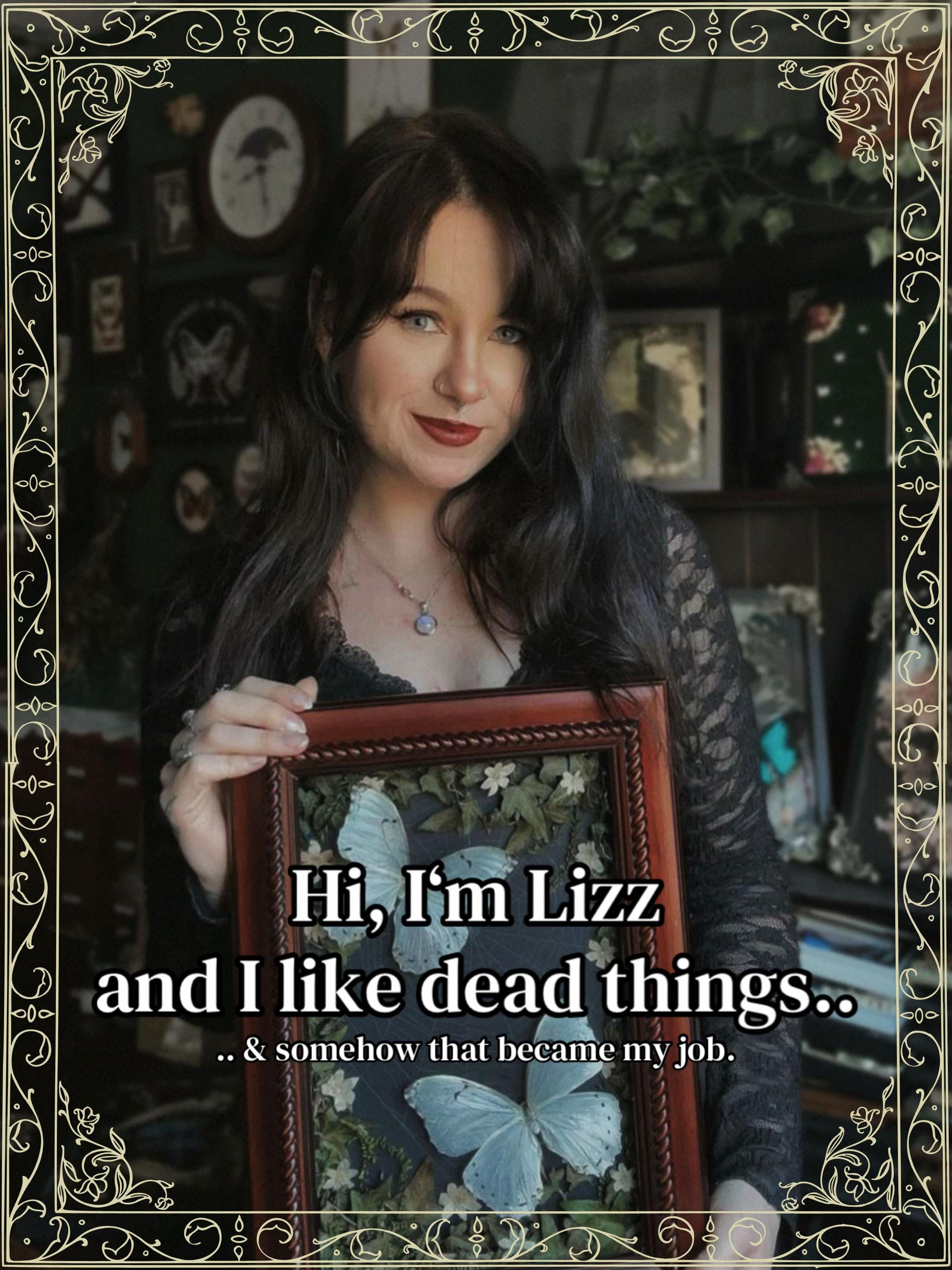 Post 8 by Lizz | Whimsical Oddities 🪲 on TikTok (video)
