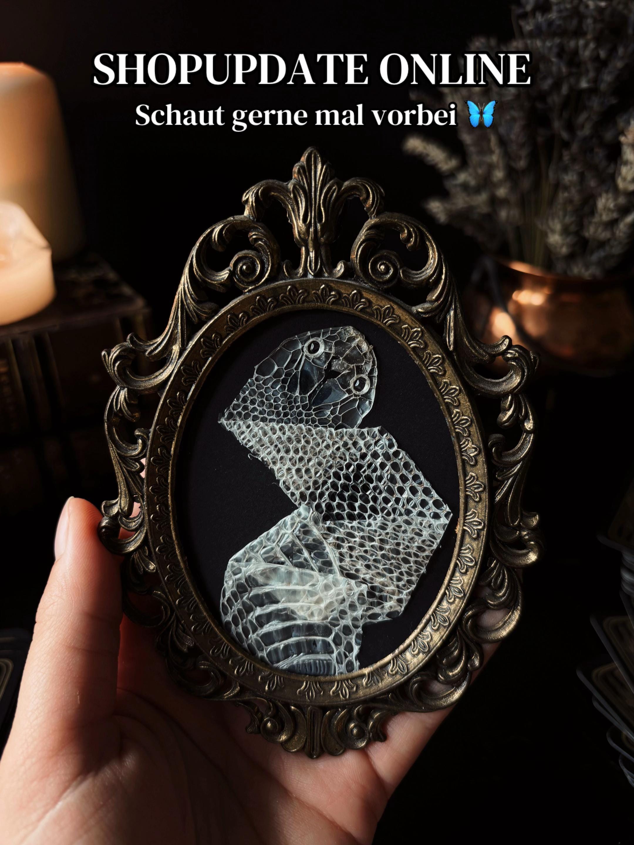 Post 5 by Lizz | Whimsical Oddities 🪲 on TikTok (video)