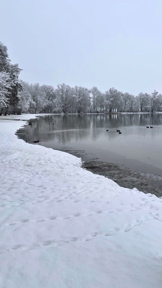 Post 6 by Cicka Design on TikTok (video)