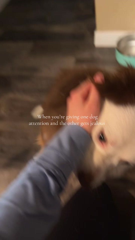 Post 3 by Jacie White on TikTok (video)