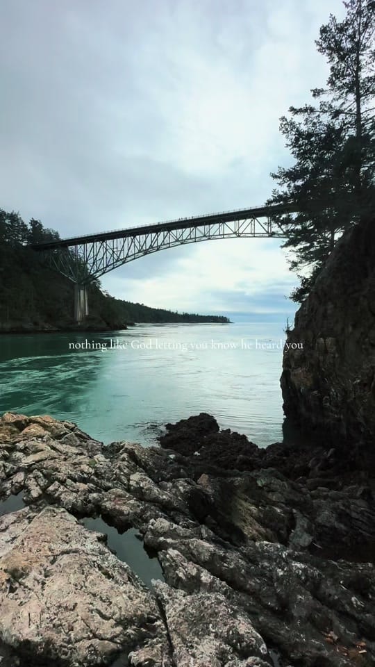 Post 9 by Jacie White on TikTok (video)