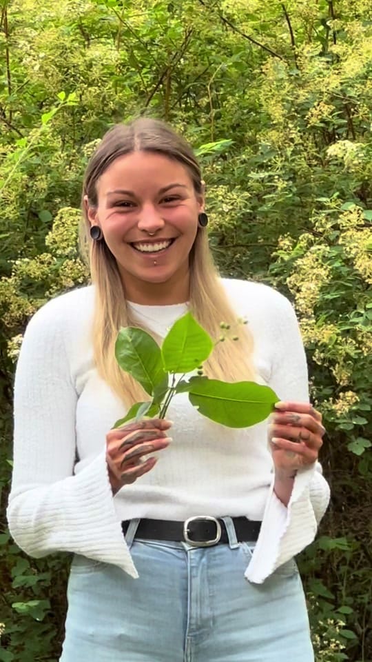 Post 10 by mel.ink.bitum on TikTok (video)
