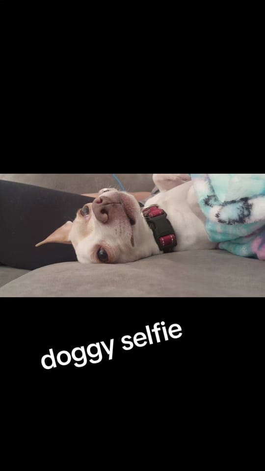 Post 2 by MsVanillaRN on TikTok (video)