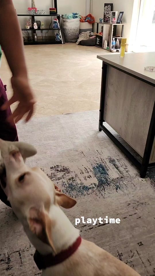 Post 7 by MsVanillaRN on TikTok (video)