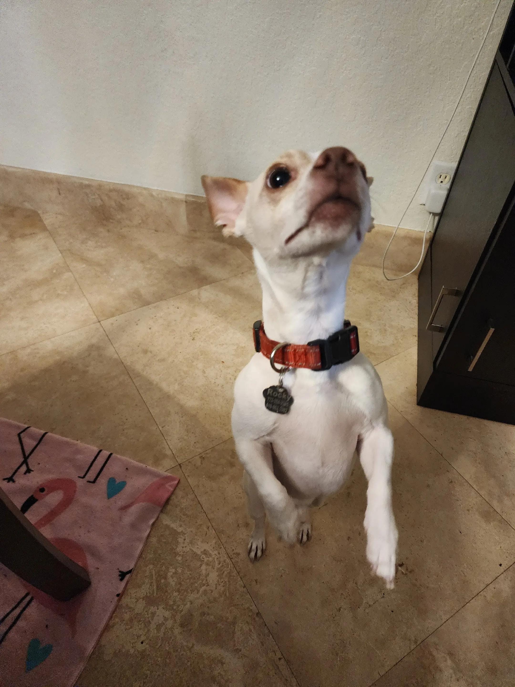 Post 4 by MsVanillaRN on TikTok (video)