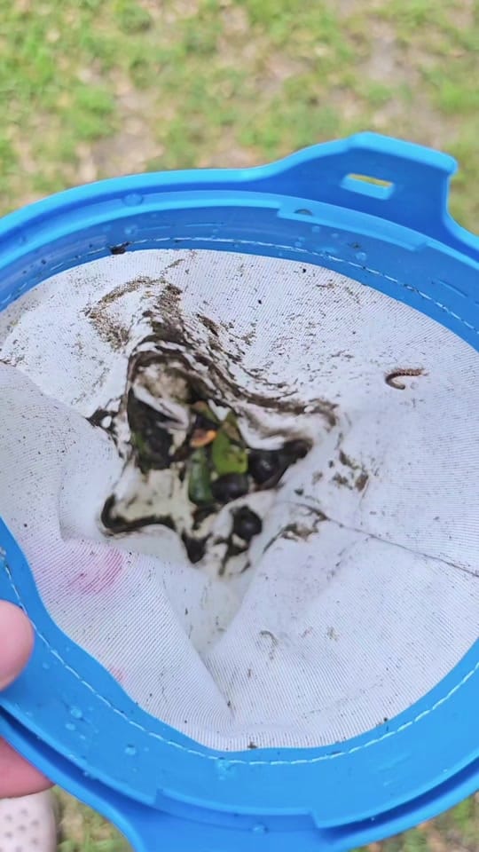 Post 6 by YellowRose🌿 on TikTok (video)