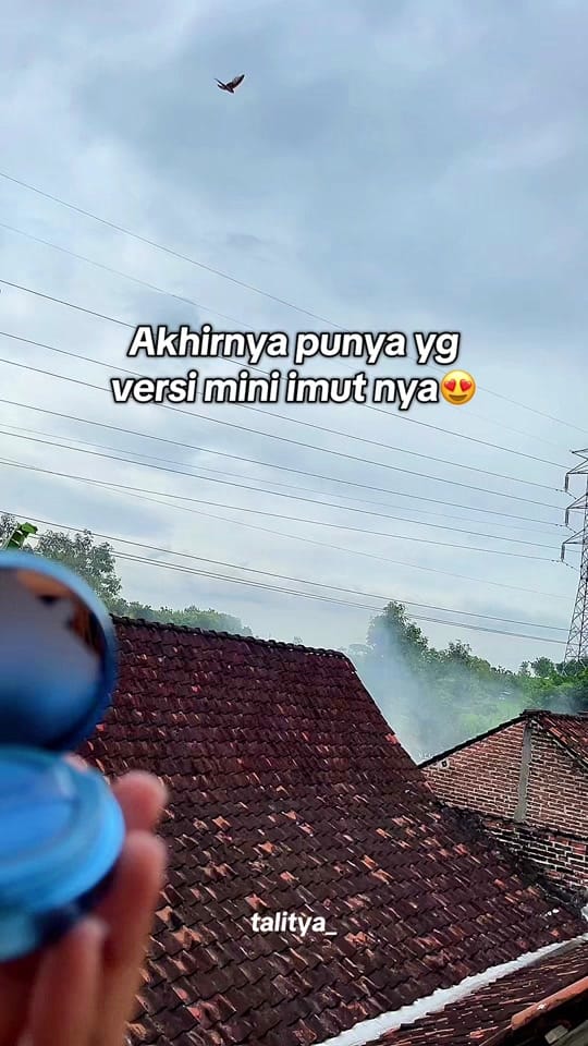 Post 8 by talitya_ 🕊️ on TikTok (video)