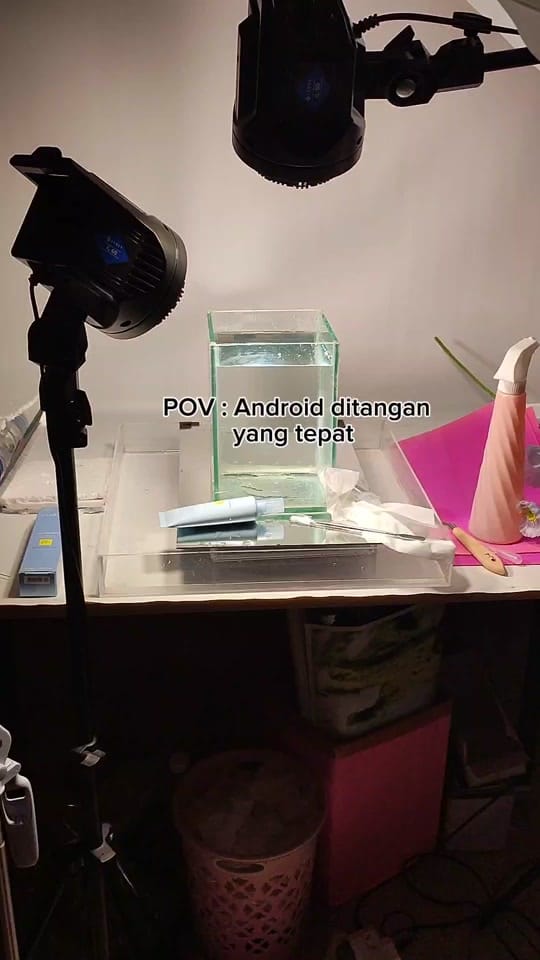 Post 8 by Dita | UGC Creator on TikTok (video)