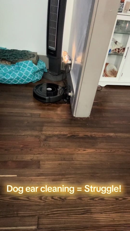 Post 10 by Rhyanna on TikTok (video)