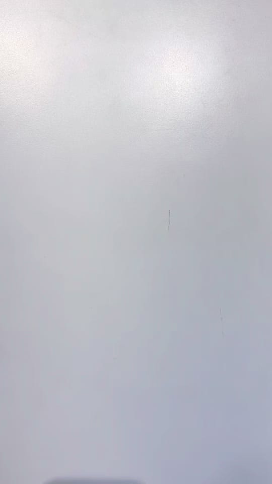 Post 7 by Marley’s Monsters on TikTok (video)