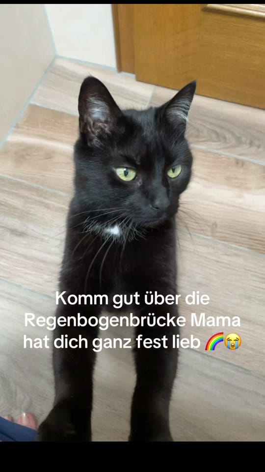 Post 3 by Chrissi on TikTok (video)