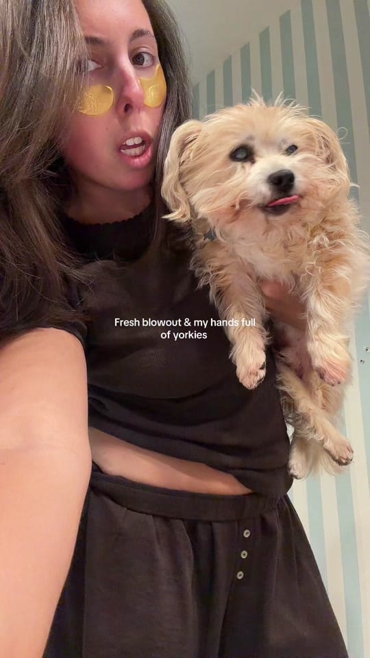 Post 4 by Amanda Siegel on TikTok (video)