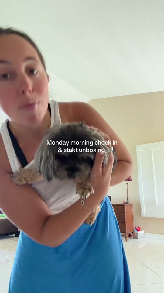 Post 6 by Amanda Siegel on TikTok (video)