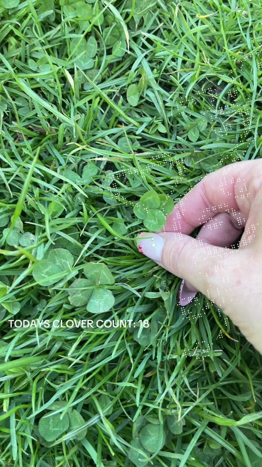 Post 4 by merlemail on TikTok (video)
