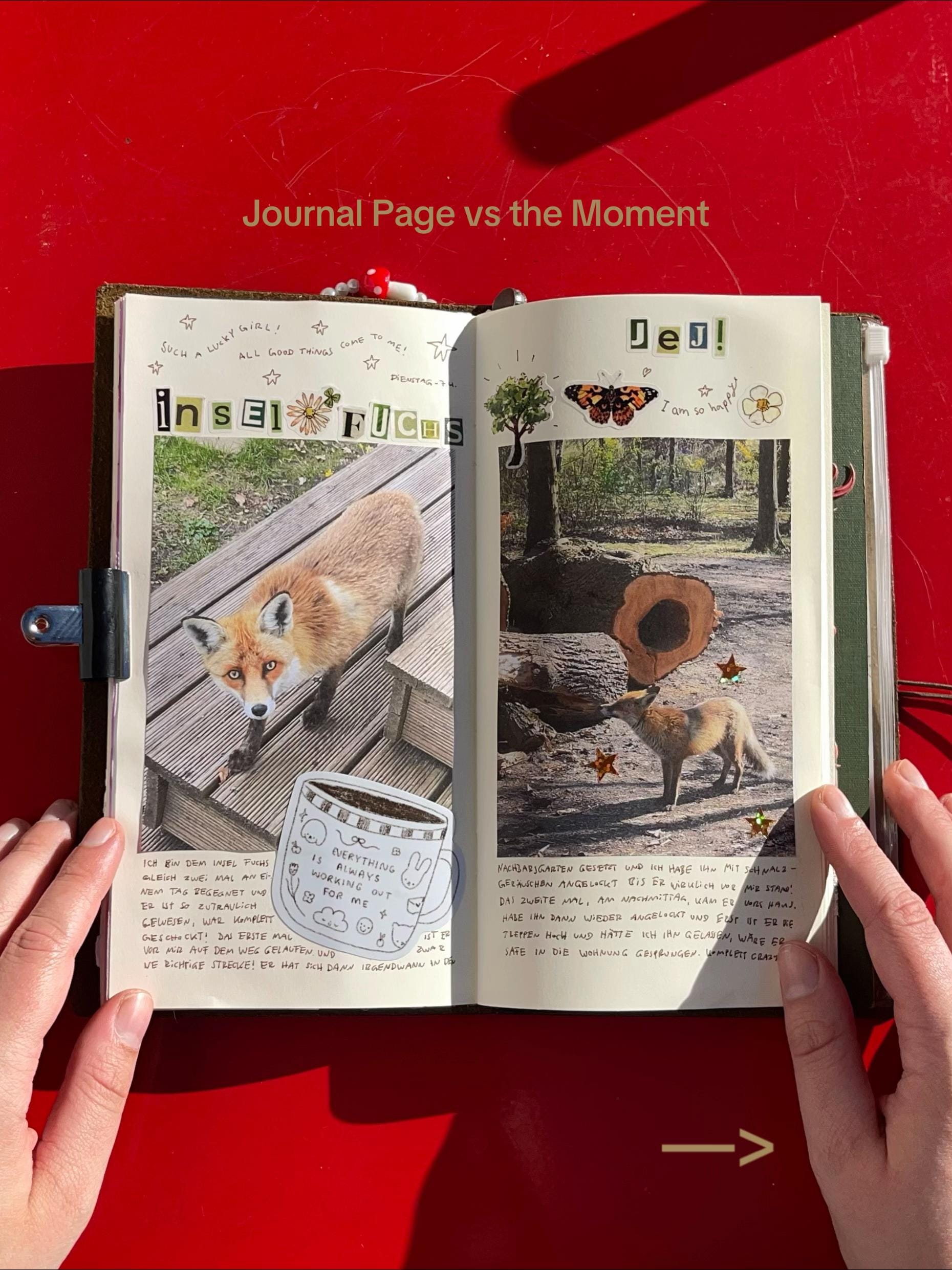 Post 9 by merlemail on TikTok (video)