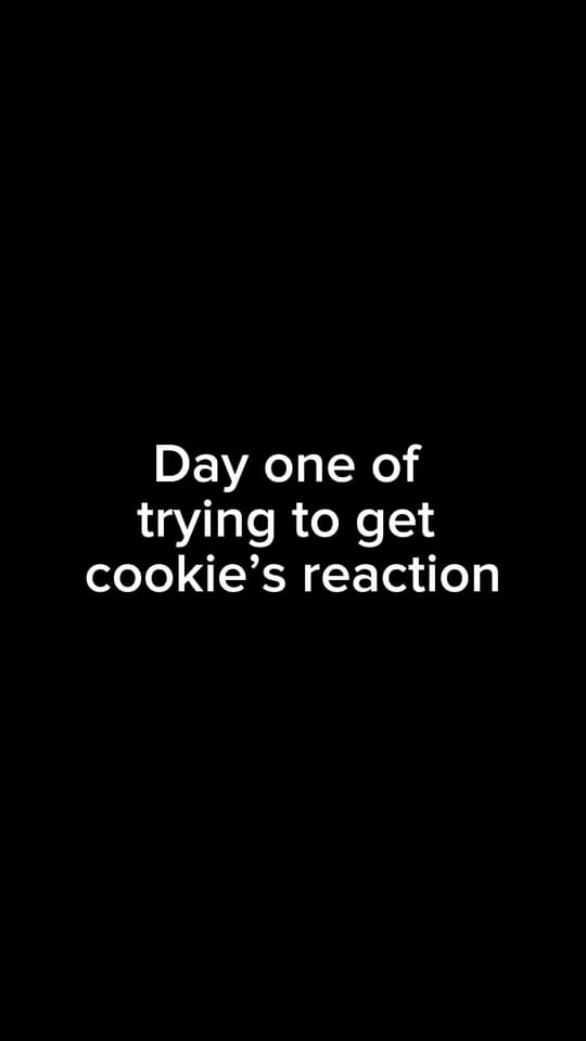 Post 10 by Peace of Mind Rehab Inc on TikTok (video)