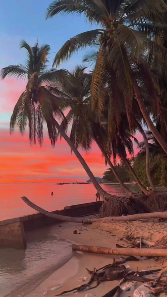 Post 10 by The Body Camp Retreats on TikTok (video)