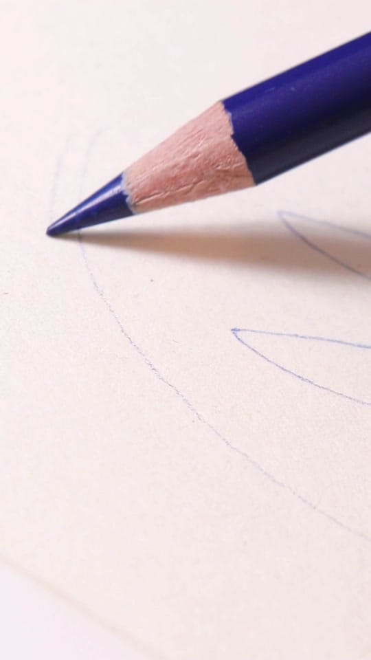 Post 1 by REIMER BOOK on TikTok (video)