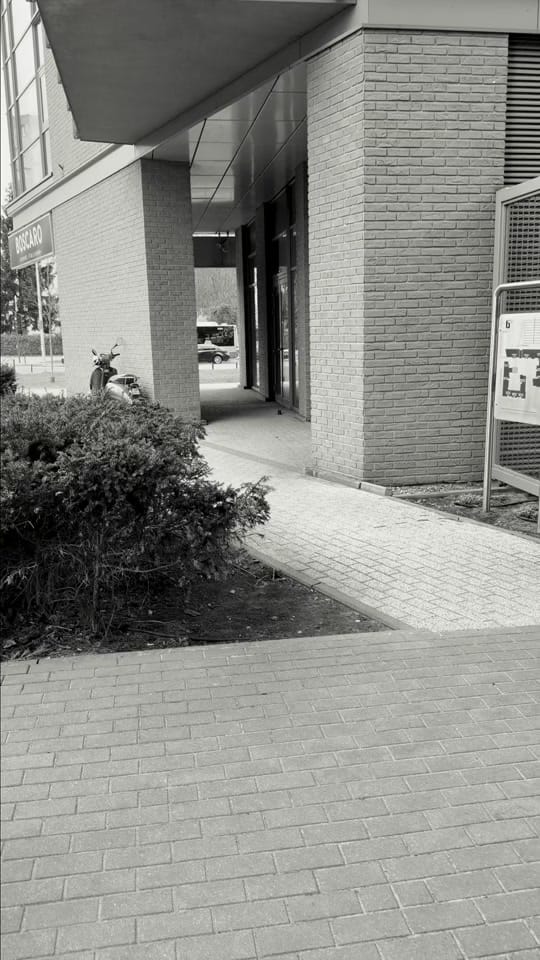 Post 4 by Ewelina Koll on TikTok (video)