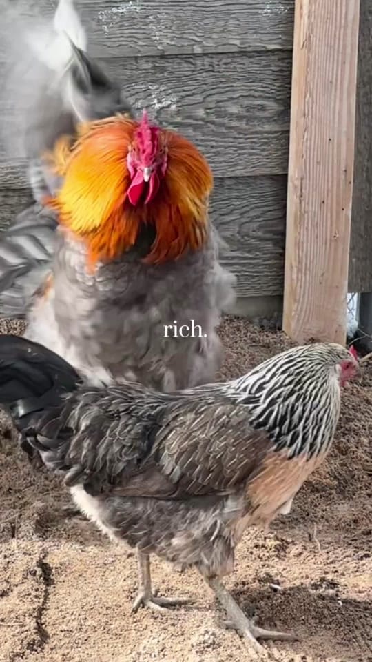 Post 7 by nursekam on TikTok (video)