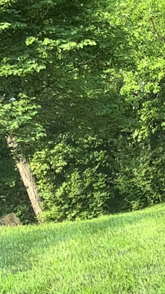 Post 6 by Baddie-Nurse_Savage-Mom on TikTok (video)