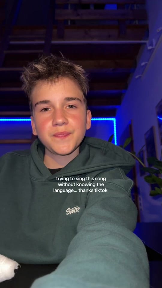 Post 2 by N E O on TikTok (video)
