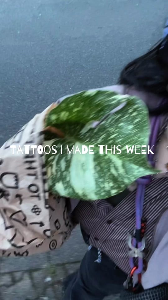 Post 6 by ☆ Thara ☆ on TikTok (video)