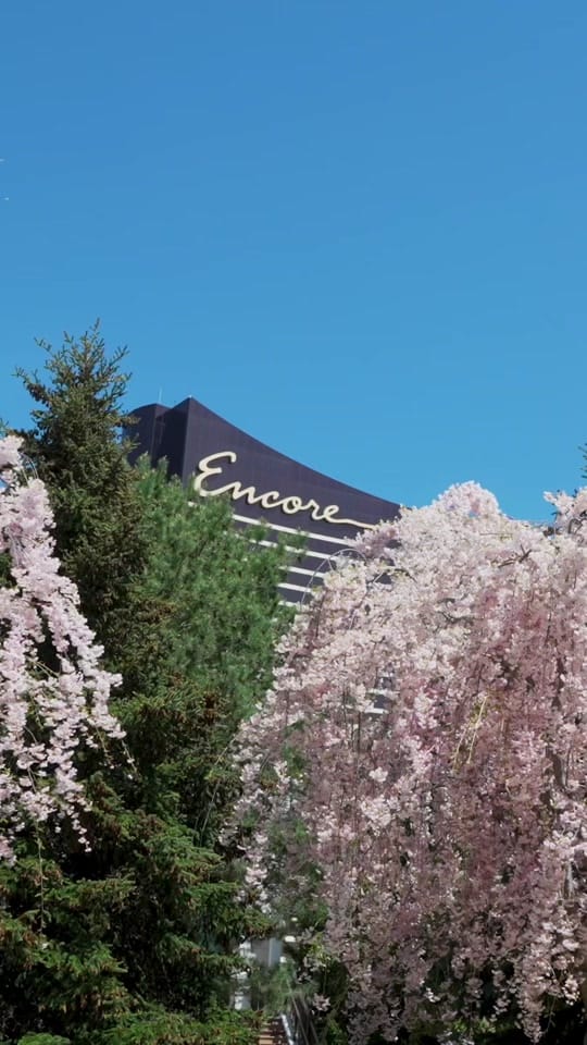 Post 5 by Encore Boston Harbor on TikTok (video)