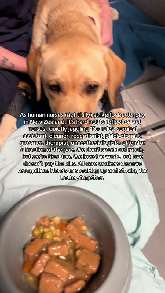 Post 9 by OLIVE WEIR on TikTok (video)