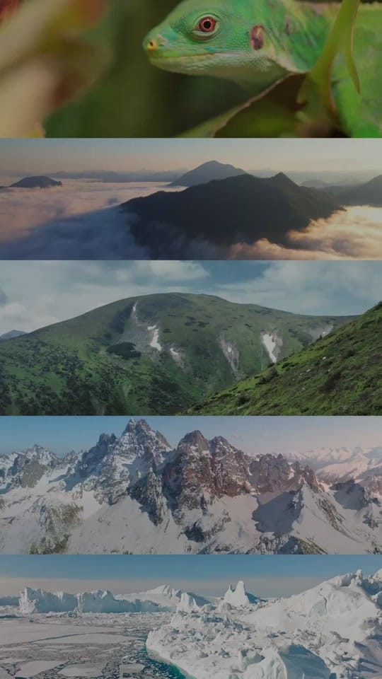 Post 5 by Catalina Hoffmann on TikTok (video)