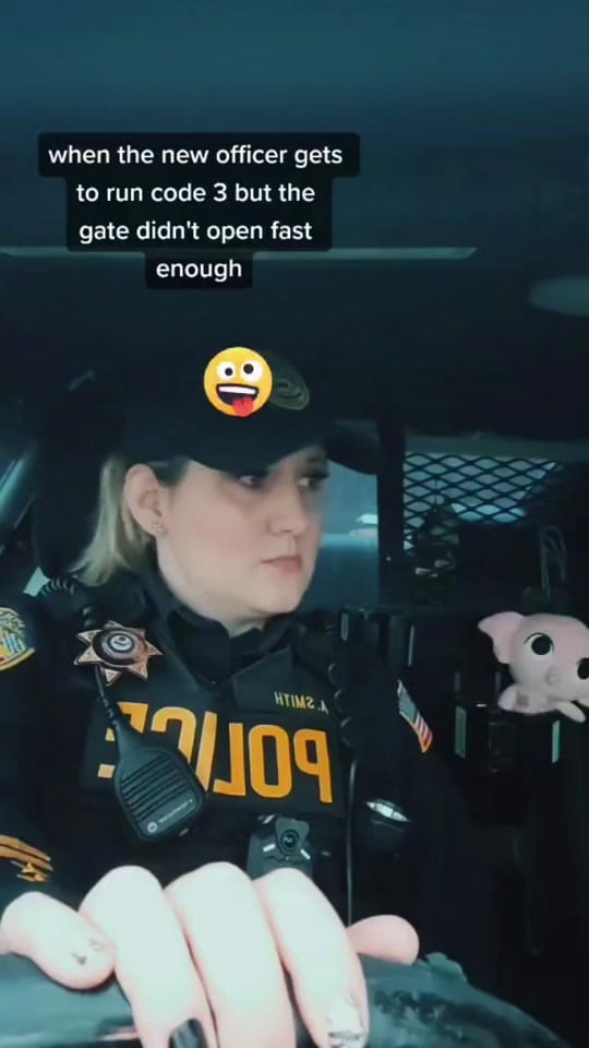 Post 3 by Amanda on TikTok (video)