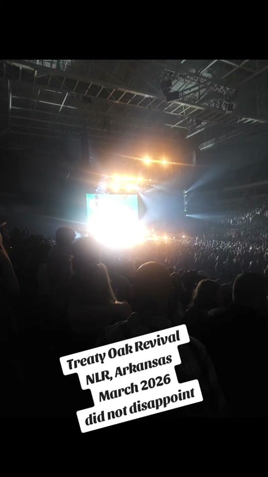 Post 4 by Amanda on TikTok (video)