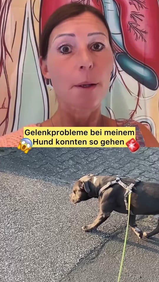 Post 8 by doctorate.sarina.klatt on TikTok (video)