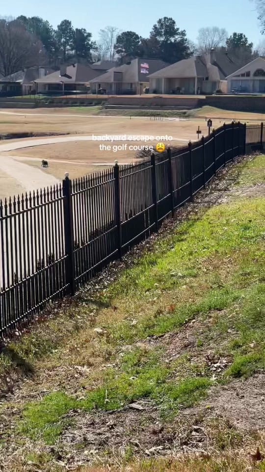 Post 9 by Kaye Davis on TikTok (video)
