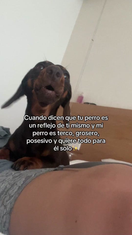 Post 5 by Nerea Zamora on TikTok (video)
