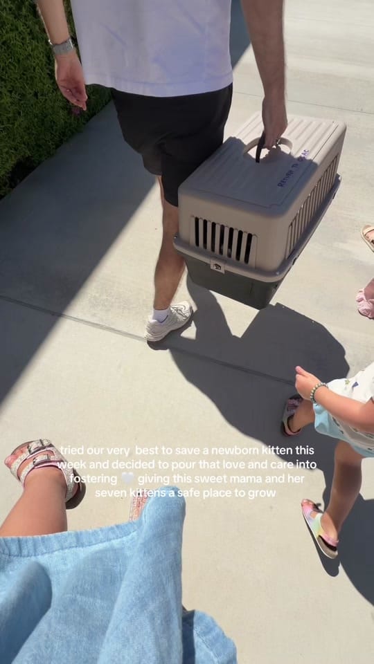 Post 6 by April Lynch on TikTok (video)