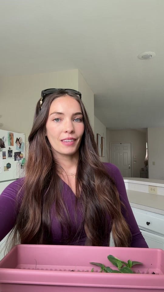 Post 4 by Breauna Eckman on TikTok (video)