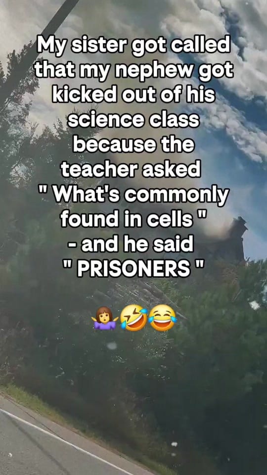 Post 7 by Jen_❌️er78 on TikTok (video)