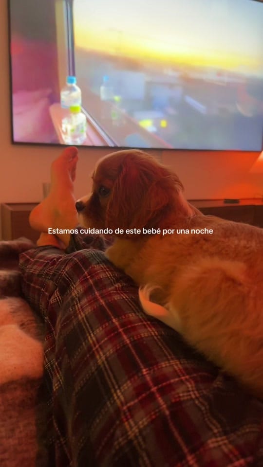 Post 4 by sergiollompart_ on TikTok (video)