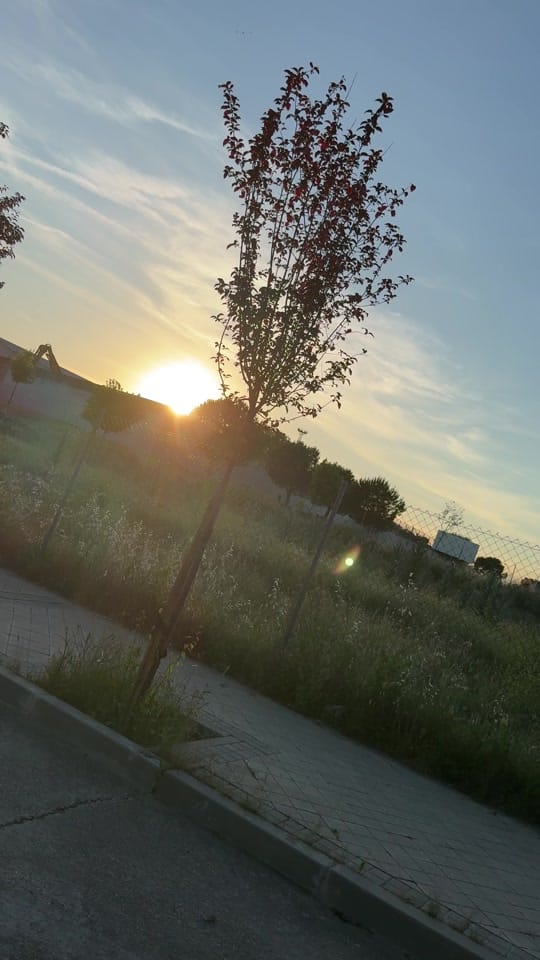 Post 8 by Arse gonzalez on TikTok (video)