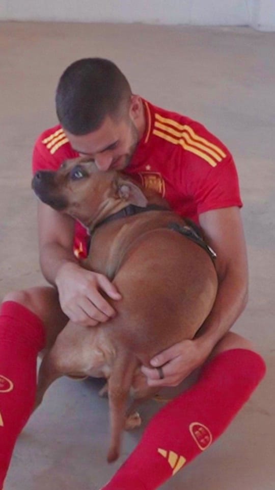 Post 4 by Ferran Torres on TikTok (video)