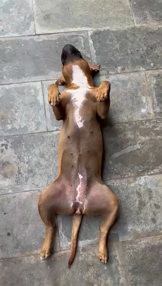 Post 5 by Ferran Torres on TikTok (video)