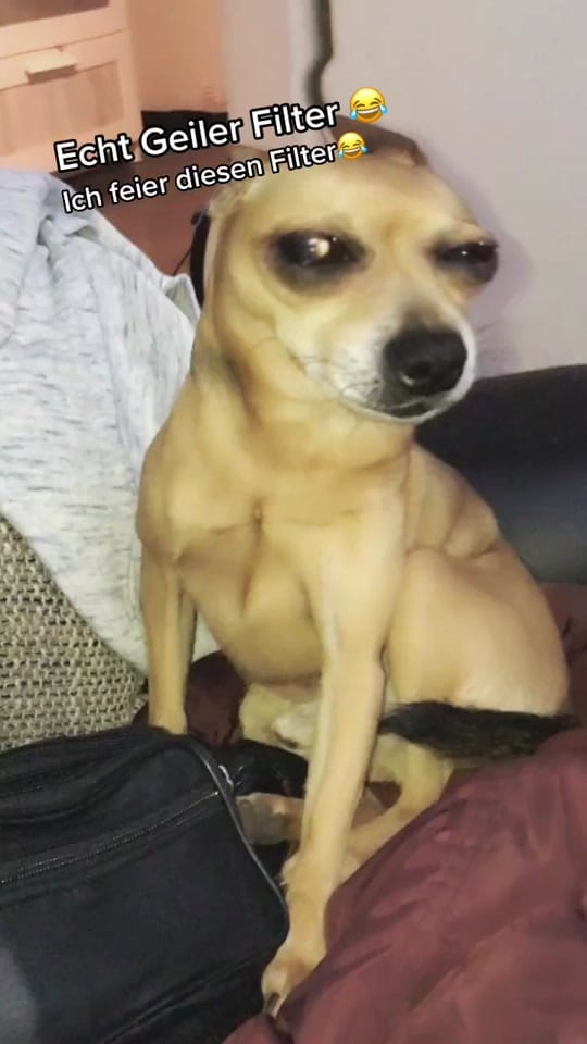 Post 8 by 🥱Acht9Yellow🥱 on TikTok (video)