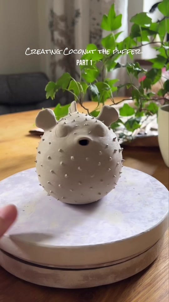Post 8 by Johanna Excell on TikTok (video)