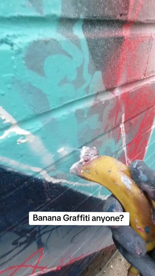 Post 10 by Bond Truluv on TikTok (video)