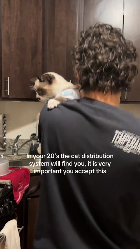 Post 1 by Sarahsoch on TikTok (video)