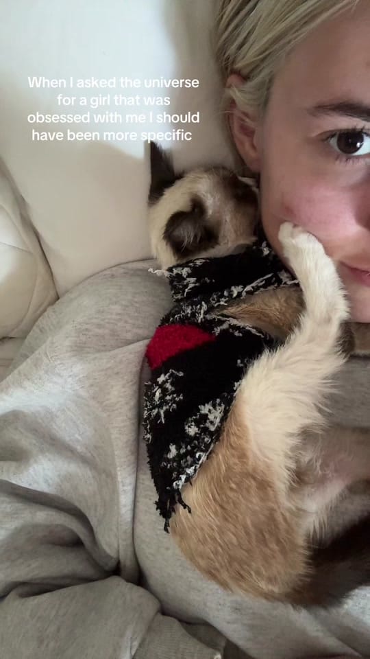 Post 4 by Sarahsoch on TikTok (video)