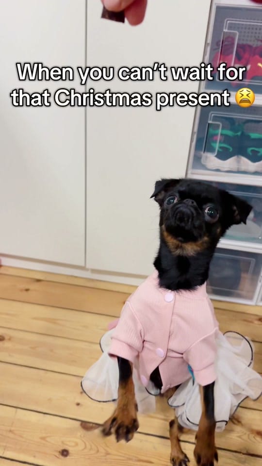 Post 4 by Hextetic True Scary on TikTok (video)