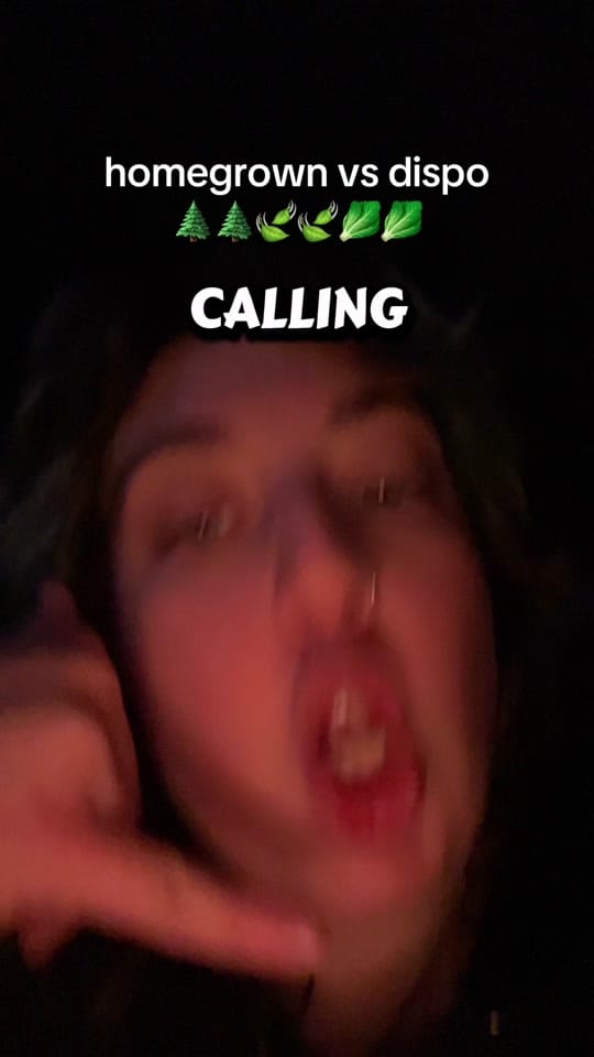 Post 8 by bonktrout on TikTok (video)